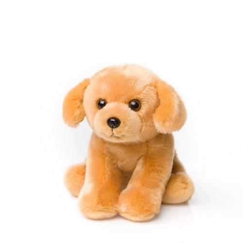 Anna club peluche labrador - club,
