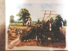 3 Posters Sunshine (Hollande)