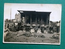 PHOTO ancienne TONTE DES MOUTONS Ovins Elevage Camion ambulant Agriculture Laine