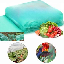 Filet oiseau vert maille fine