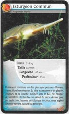 Carte Super U - Bioviva! - Esturgeon commun