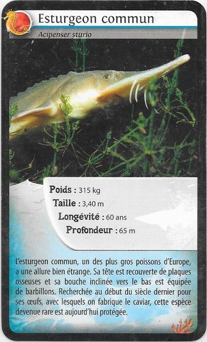 Carte super bioviva - carte, u