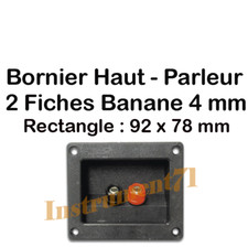 1 Bornier Rectangulaire