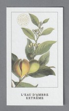 Carte  publicitaire - L'Eau