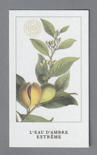 Carte publicitaire l - carte,