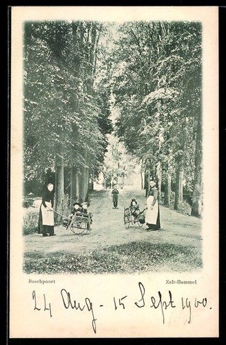 Pommeau sel porte bosch - pommeau,