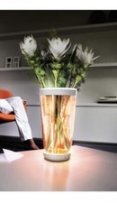 Vase Philips Lumineux LED