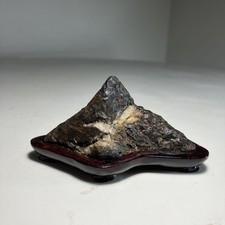 Suiseki Bonseki Bonsaï Jardin