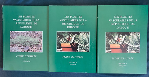 Botanique djibouti flore - botanique,