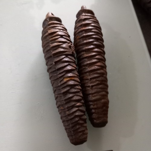 Lot poids pomme de - de, pin