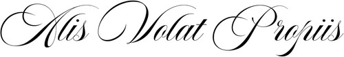 Tatouage temporaire alis volat - temporaire,
