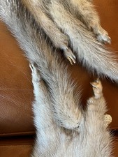 Etole Echarpe En Fourrure VisonGris Clair