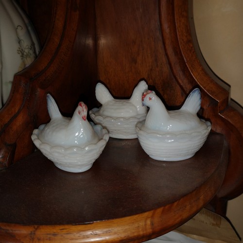 Petites poules opaline - petites, en