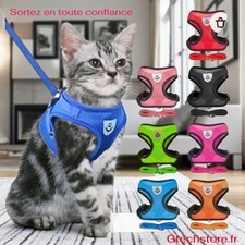 Harnais Maille Réglable Chat