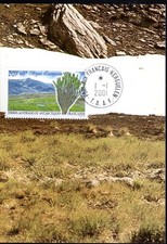 293 taaf carte 1er jour - 293-,