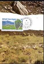 293- TAAF  - CARTE   1er JOUR  FLORE  ANTARCTIQUE      KERGUELEN