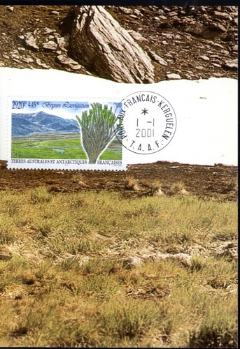 293 taaf carte - 293-,