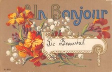 CPA 80 UN BONJOUR DE BEAUVAL