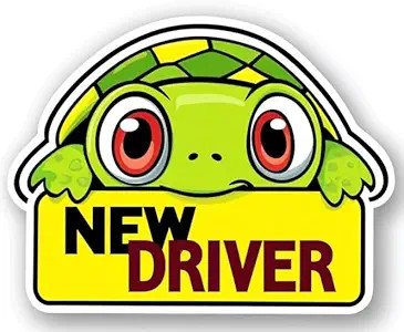 New adorable cartoon - cartoon, turtle