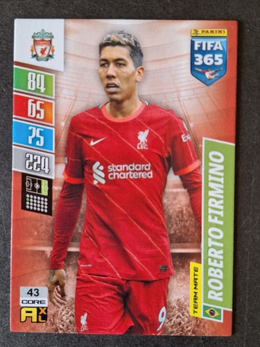 Roberto firmino liverpool - roberto, #43