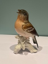 Oiseau porcelaine de Saxe karl ens