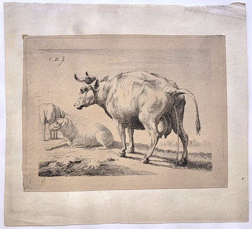 Karel carel dujardin - ou,