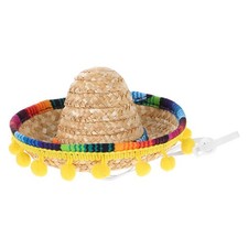  Deguisement Chien Mexique