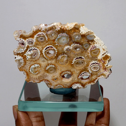 Ancienne dalle corail de - ancienne,