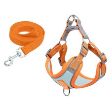 Harnais pour chien Harnais