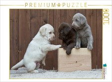 CALVENDO Puzzle Labrador