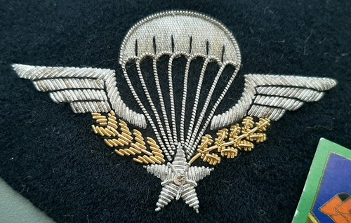 Superbe brevet parachutiste - superbe,