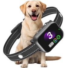 Collier Anti Aboiement Chien