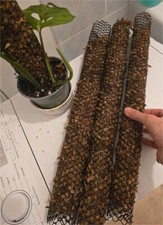 tuteur plante - Je mets en