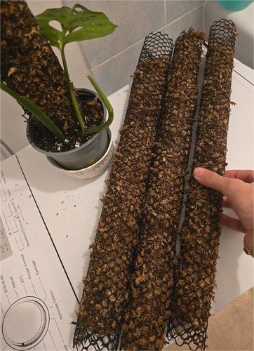 Tuteur plante mets - tuteur, en
