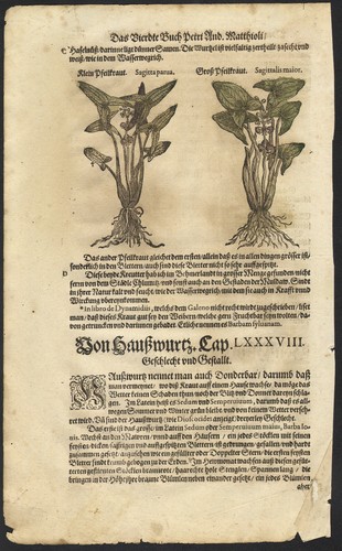 1590 planche gravure - 1590,