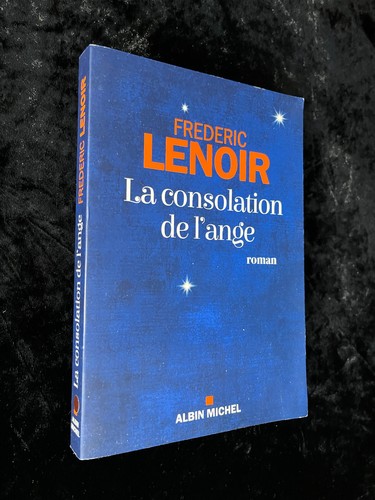 Roman frédéric lenoir - frédéric,