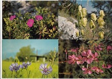 Lot 4 cartes postales DRÔME