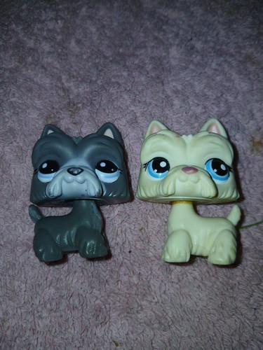 Set lot littlest - lot, petshop