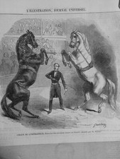 1850 1897 CHEVAL CIRQUE ETE