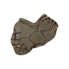 Septaria en tranche sciée et