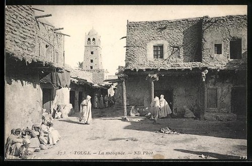 Cpa tolga mosquée - tolga,,