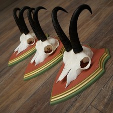 Bois cèdre trophée pour - de,