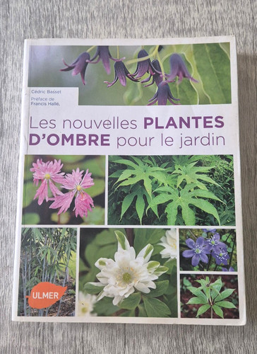 Les nouvelles plantes ombre - plantes, d'ombre
