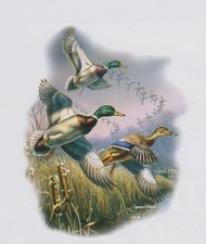 TEE SHIRT MANCHES LONGUES 