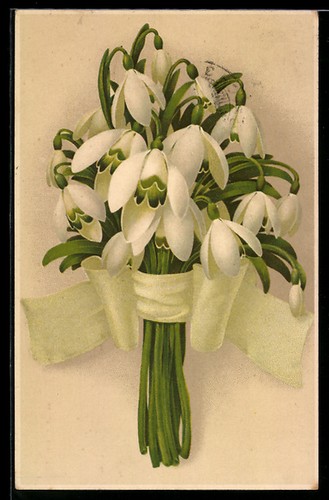 Bouquet avec perce-neige
