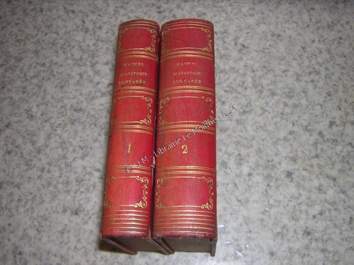 1850 nouveau manuel - 1850.nouveau, d'anatomie