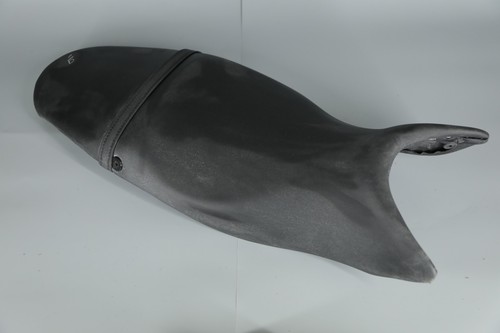 Selle triumph 675 street - selle,