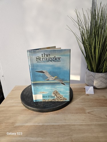 The straggler adventures of - -,