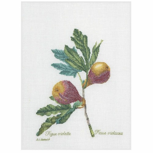 Kit point croix figues - ,