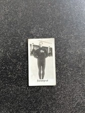 Image la pie qui chante -